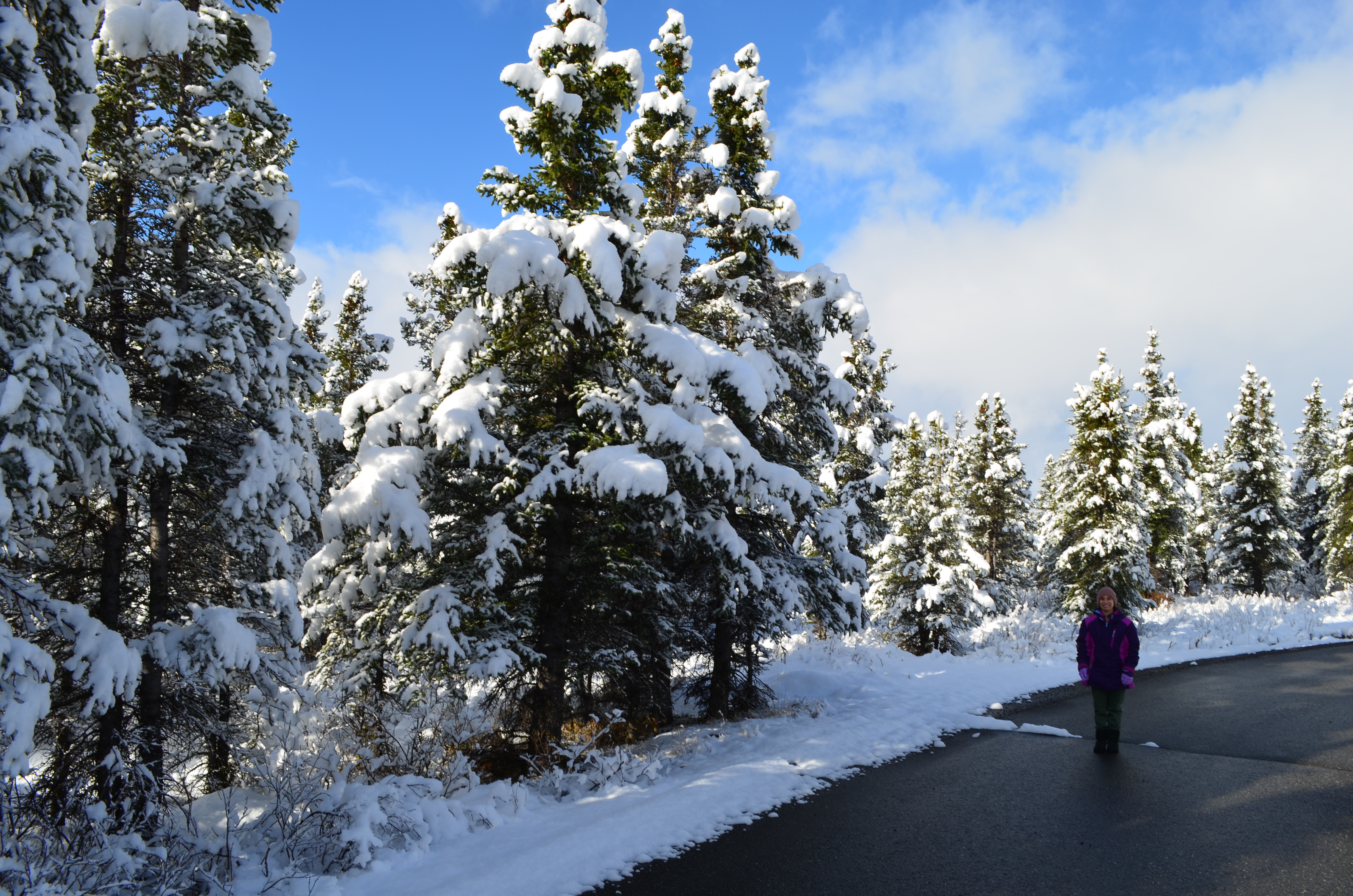 ./2017/08 - Alaska Cruise/03 - Denali/DSC_0258.JPG